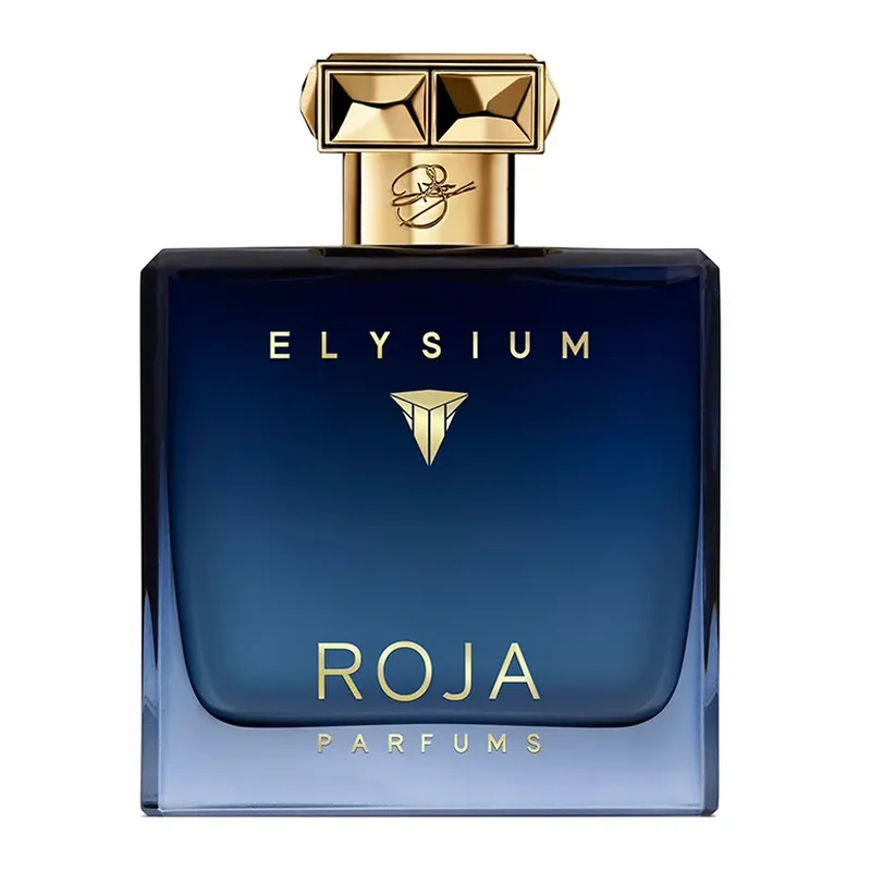 Roja Elysium Pour Homme EDP 100ML (Unboxed)